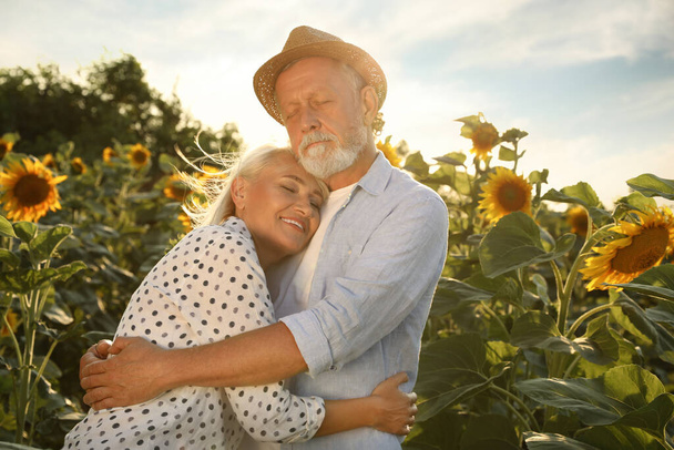 Happy mature couple in sunflower field on summer day - Foto, afbeelding