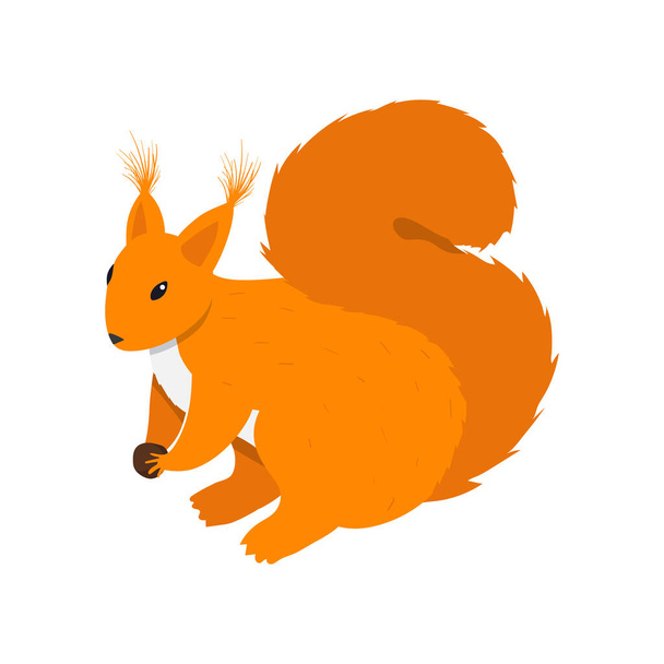Isometric Squirrel Illustration - Vector, Image