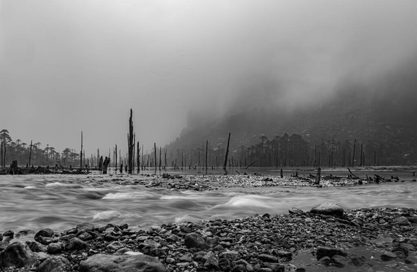 Изображение сделано на озере Мадури таванг аруначал прадеш. Красное с туманом и сухими стволами деревьев утром с плоского угла в черно-белом - Фото, изображение