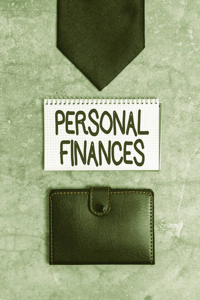 Концептуальная подпись "Личные финансы". Бизнес демонстрирует активность в управлении собственными деньгами и принятии финансовых решений. - Фото, изображение