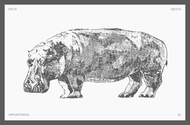 Schizzo di ippopotamo vettoriale disegnato a mano ad alto dettaglio - Vettoriali, immagini