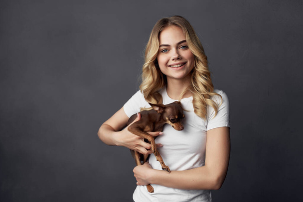 donna in t-shirt bianca con piccolo cane di razza fascino amicizia - Foto, immagini