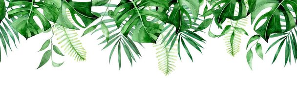bezešvé akvarelové okraje, prapor, rám s tropickými listy. zelené listy příšery, palmy, kapradiny izolované na bílém pozadí. bezešvé tiskové kliparty - Fotografie, Obrázek