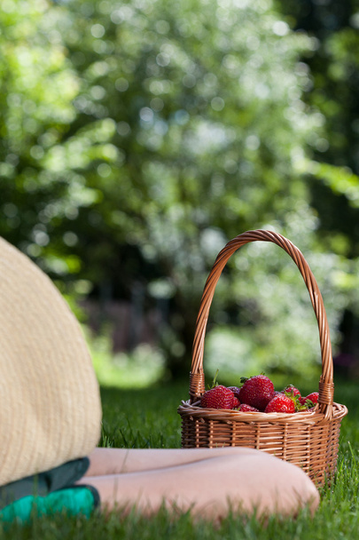 Person resting with basket of strawberries - Фото, зображення