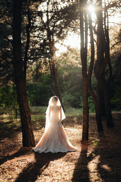 girl in a wedding dress in the autumn forest against the background of wild trees - Фото, зображення
