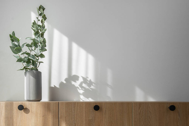 Dry eucalyptus branches in modern minimalist grey vase on wooden TV stand with beautiful shadows from sun on white wall - Photo, Image