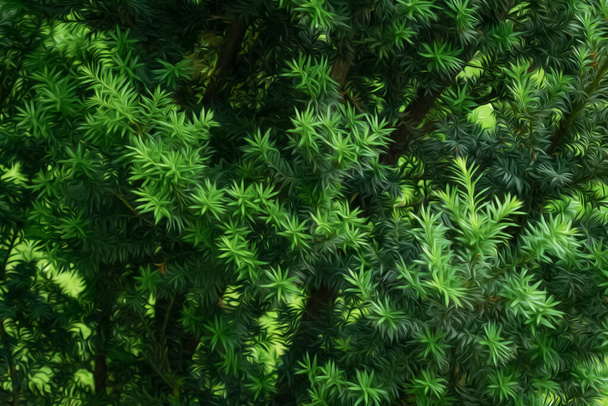 Espalhando ramos de árvore de teixo verde, óleo pintado - Foto, Imagem
