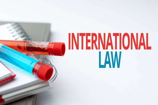 Text showing inspiration International Law. Business approach system of treaties and agreements between nations Writing Important Medical Notes Laboratory Testing Of New Virus Medicine - Fotó, kép