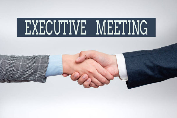 Conceptual caption Executive Meeting. Business overview discuss a specific topic with boards and general members Two Professional Well-Dressed Corporate Businessmen Handshake Indoors - Foto, Bild