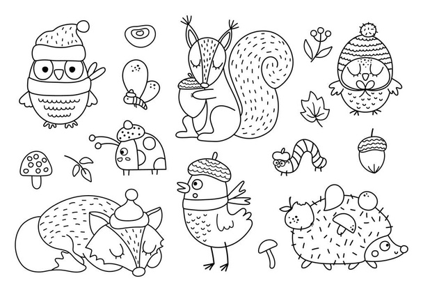 Vector black and white Autumn forest animals and insects set. Cute outline hedgehog, squirrel, fox, owl in hats and scarves. Vector fall or Thanksgiving characters collection. Woodland line icons pack - Vector, Image