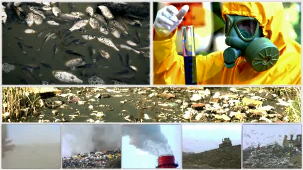 a környezetszennyezés különféle formái-osztott képernyő - Felvétel, videó