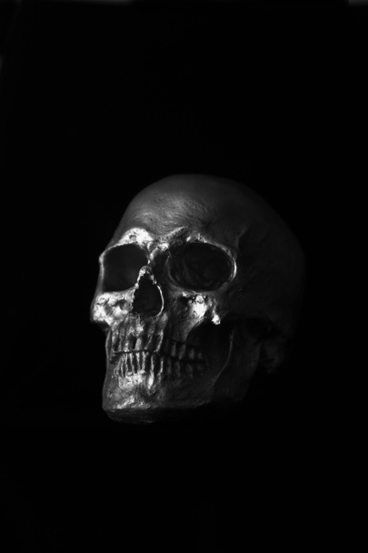 人間の頭蓋骨。ハロウィンだ。怖がってる。気味が悪い。ハロウィン・ヒューマン・スカル。ブラックに隔離された不気味な怪物人間の頭蓋骨。夜の人間の頭蓋骨に薄暗い光。COVID-19ハロウィン人間の頭蓋骨。コロナウイルス・スカル。視聴者の方に届くグリムリーパー. - 写真・画像