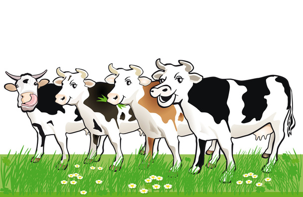 Négy boldog tehén - Vektor, kép
