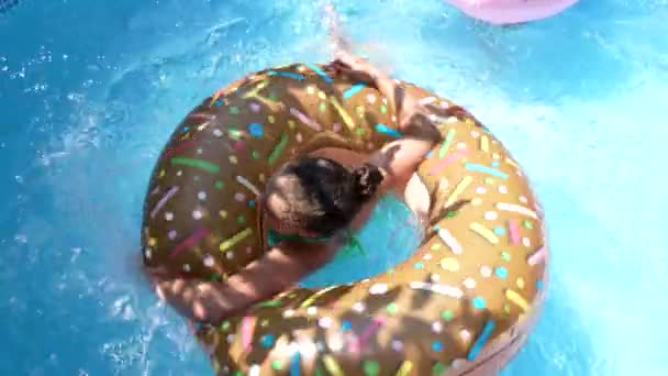 Κορίτσι παιδί κολύμπι σε πισίνα ντόνατ επιπλέουν σε εξωτερική πισίνα την ηλιόλουστη μέρα του καλοκαιριού, επίπλευση - Πλάνα, βίντεο