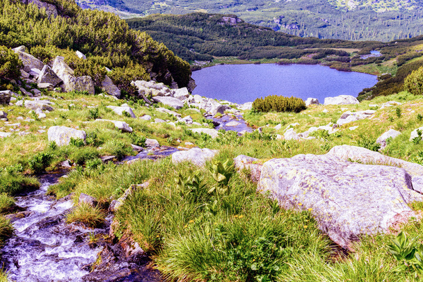 краєвид з льодовикового озера у високогір'ї fagaras гори ві - Фото, зображення