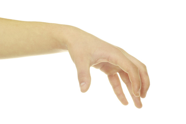 Hand on white - Фото, изображение