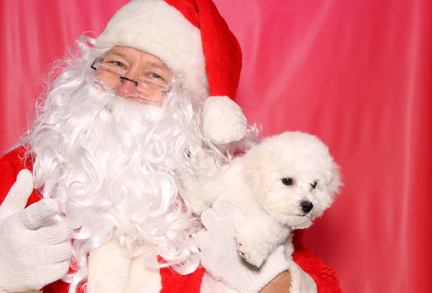 Ο Άγιος Βασίλης κρατάει κουταβάκι για τα Χριστούγεννα. Ο Άγιος Βασίλης αγαπάει τα σκυλιά. Χριστουγεννιάτικη Bichon Frise. Κουτάβι Ντογκ. Χριστουγεννιάτικο κουτάβι. Χριστουγεννιάτικο δώρο. Χριστουγεννιάτικο δώρο. Μπιχόν Φριζέ Κουτάβι. Κουτάβια είναι μεγάλη φίλους και συχνά δίνεται για τα Χριστούγεννα ως δώρα. Χο Χο.  - Φωτογραφία, εικόνα
