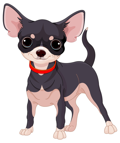 Playful chihuahua - Vector, Imagen