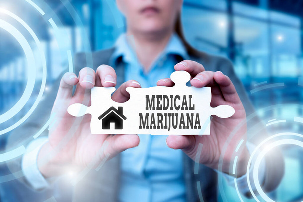 Text sign showing Medical Marijuana. Word for recommended by examining as treatment of a medical condition Business Woman Holding Jigsaw Puzzle Piece Unlocking New Futuristic Tech. - Foto, immagini