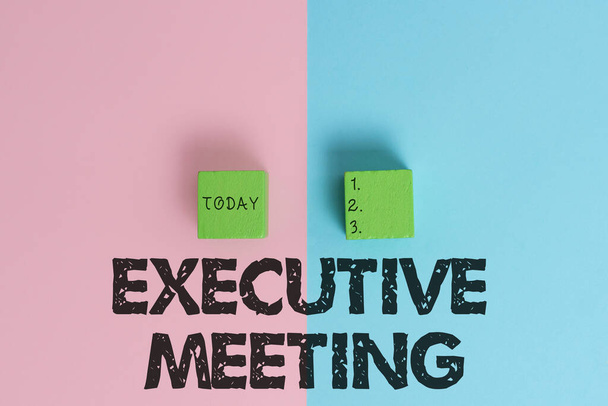 Text sign showing Executive Meeting. Business overview discuss a specific topic with boards and general members Two Objects Arranged Facing Inward Outward On a Separated Coloured Background - Zdjęcie, obraz