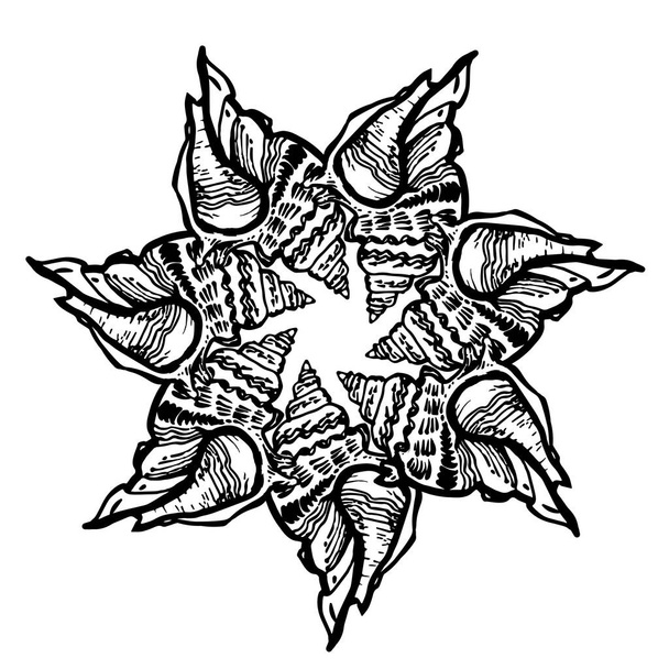 Ornate round frame from seashell in black ink isolated on white. - Vektör, Görsel