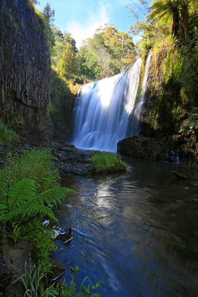 gids waterval valt in een bos in tasmanië - Foto, afbeelding