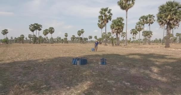 drone shot of a toddy tapper bring back plastic containers filled with palm sap  - Séquence, vidéo