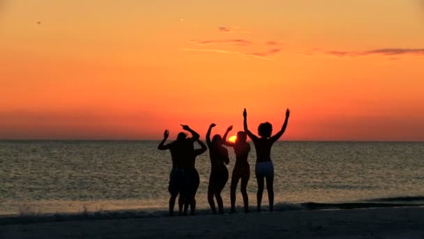 tieners genieten van strand partij - Video