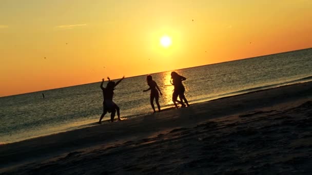 Freunde genießen die Freiheit bei Sonnenuntergang - Filmmaterial, Video
