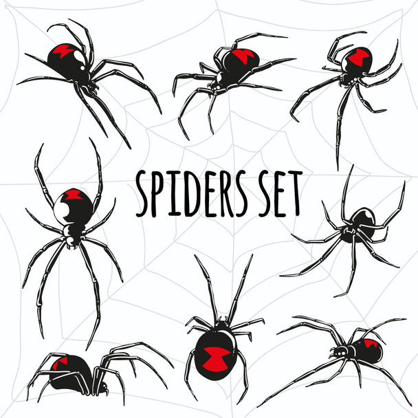 black widow spider vector set - Vettoriali, immagini