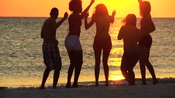 jonge mensen op het strand partij - Video