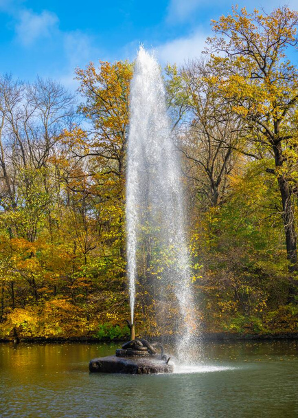 07.11.2020. Uman, Ukraine. Snake fountain in the Sofievsky arboretum or Sofiyivsky Park in Uman, Ukraine, on a sunny autumn day - Fotoğraf, Görsel