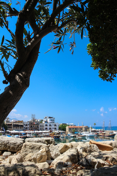 Zicht op de Cyreneese haven van onder een boom met roze bloemen. Kyrenia. Cyprus. - Foto, afbeelding