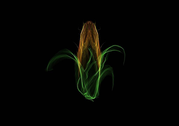 maíz mazorca vegetal maduro feto - Foto, imagen