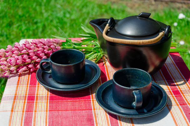 close up black clay tea set and lupine aoutdoor   - Photo, Image