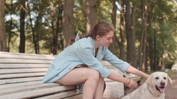 Mezzo lungo di donna caucasica dagli occhi azzurri che indossa giacca blu, seduto su una panchina nel parco, accarezzando grosso cane bianco, poi animale domestico che scappa a caccia di qualcosa - Filmati, video
