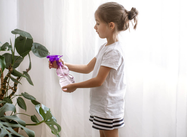 Bambina con spruzzatore piante d'appartamento foglie, prendersi cura della pianta Monstera, giardinaggio domestico. - Foto, immagini