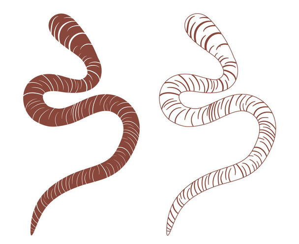 Earthworm tai Lumbricina vektori kuvitus Täytä ja ääriviivat eristetty valkoisella taustalla. Hyönteiset Hyönteiset Worms Pest ja Kärpäset. Entomologia tai tuholaistorjunta Business graafiset elementit. - Vektori, kuva
