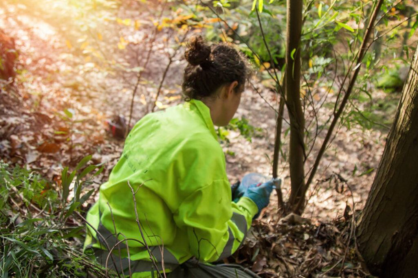 trabalhador florestal mulher cortando árvore e manchando substância química para matar árvores na floresta - Foto, Imagem