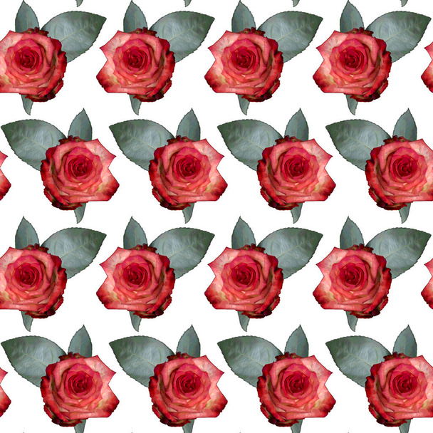 Seamless pattern with red rose flowers and green leaves on white background. Endless colorful floral texture. Raster illustration. - Foto, immagini