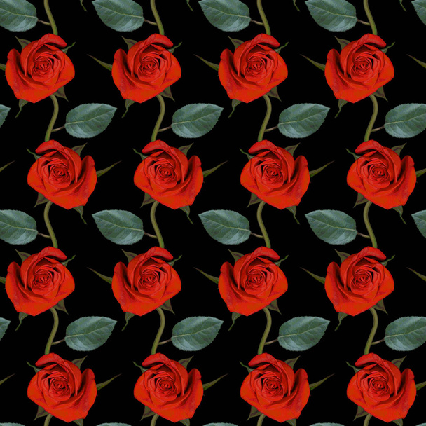 Seamless pattern with red rose flowers and green leaves on black background. Endless colorful floral texture. Raster illustration. - Фото, изображение