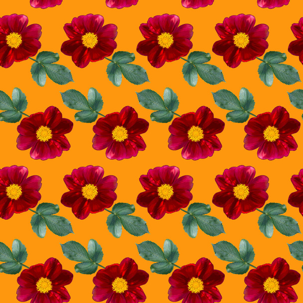 Seamless pattern with red Dahlia flowers and green leaves on orange background. Endless floral texture. Raster colorful illustration. - Fotografie, Obrázek