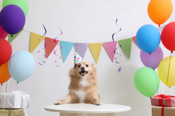 Cute dog wearing party hat at table in room decorated for birthday celebration - Fotografie, Obrázek