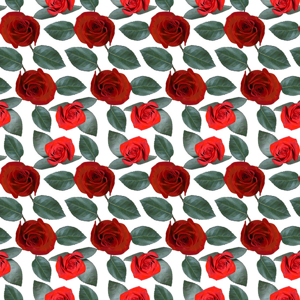 Seamless pattern with red rose flowers and green leaves on white background. Endless colorful floral texture. Raster illustration. - 写真・画像