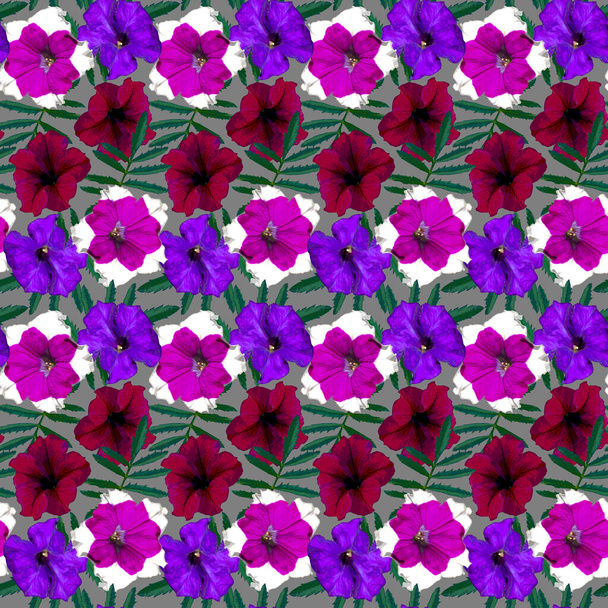Seamless pattern with red, purple, violet Petunia flowers and green leaves on grey background. Endless colorful floral texture. Raster illustration. - Fotografie, Obrázek