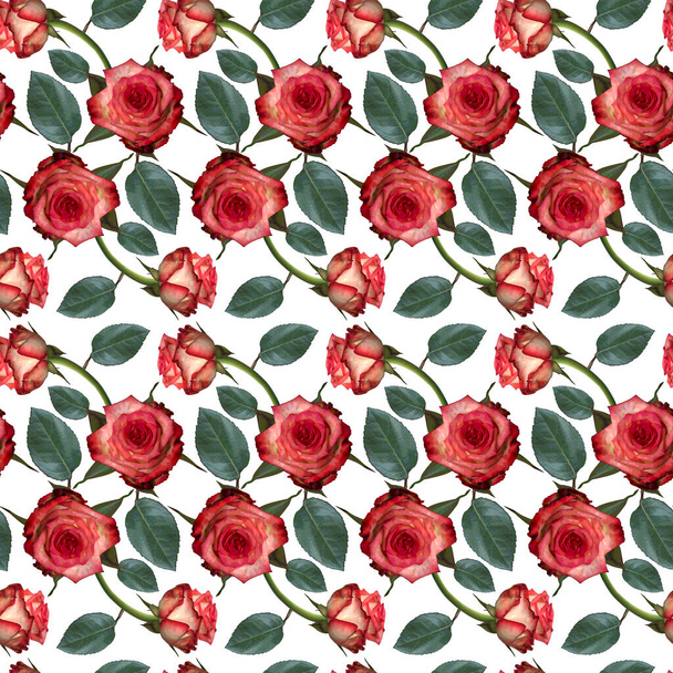 Seamless pattern with pink rose flowers and green leaves on white background. Endless colorful floral texture. Raster illustration. - Foto, Bild