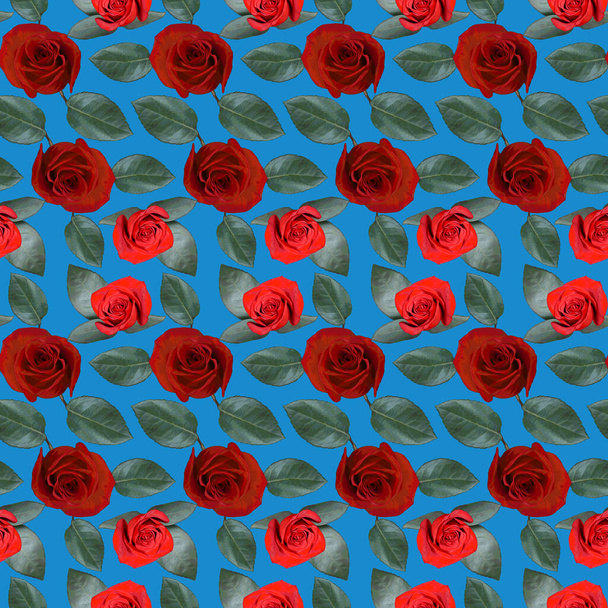 Seamless pattern with red rose flowers and green leaves on blue background. Endless colorful floral texture. Raster illustration. - Foto, afbeelding