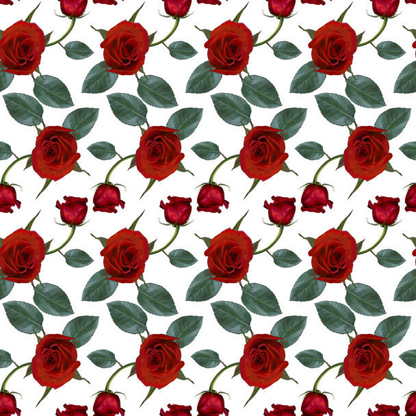 Seamless pattern with red rose flowers and green leaves on white background. Endless colorful floral texture. Raster illustration. - Photo, Image