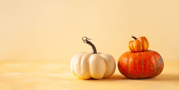 Still life with different sort of pumpkins. Autumn concept with food  on pastel background with copy space. - Photo, image