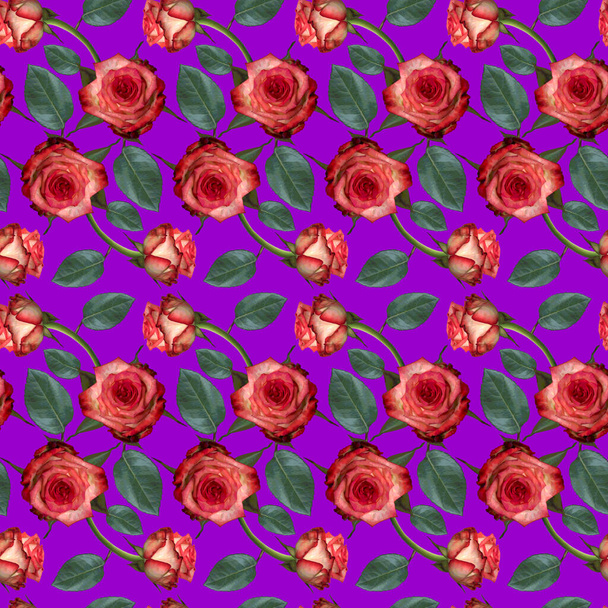 Seamless pattern with pink rose flowers and green leaves on purple background. Endless colorful floral texture. Raster illustration. - Zdjęcie, obraz